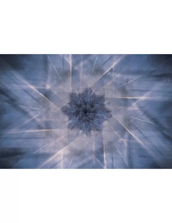 Wall art: De Blauwe Kamer