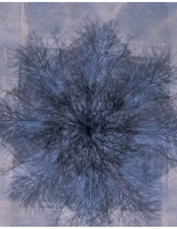 Wall art: De Blauwe Kamer - Image 2