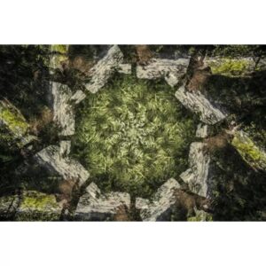Wall art: Het Groene Tapijt