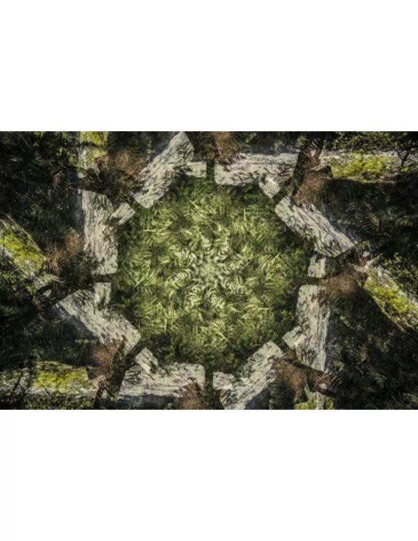 Wall art: Het Groene Tapijt