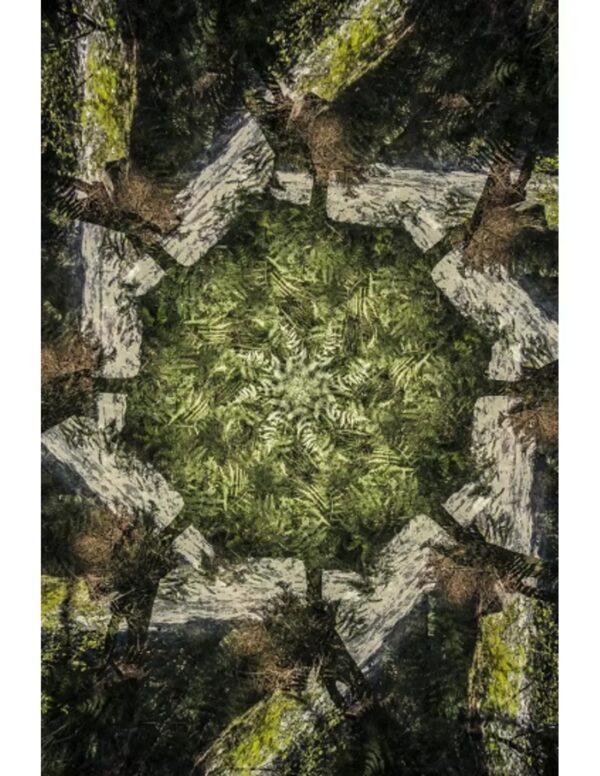 Wall art: Het Groene Tapijt - Image 3