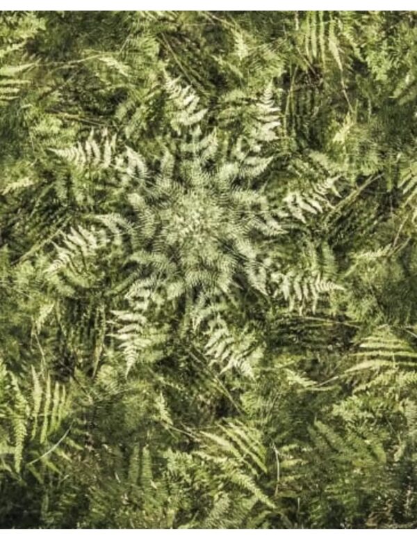 Wall art: Het Groene Tapijt - Image 4
