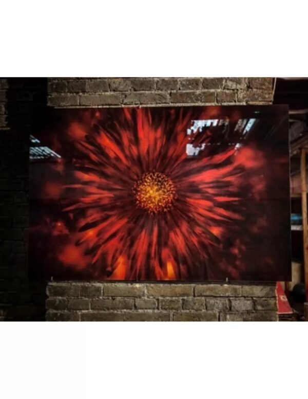Wall art: Austuriaanse bloem - Image 3