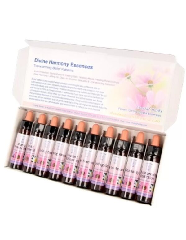 10 ml Auric Protection - uit Belief Patterns Essences - Image 2