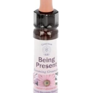 10 ml Being Present - uit Belief Patterns Essences