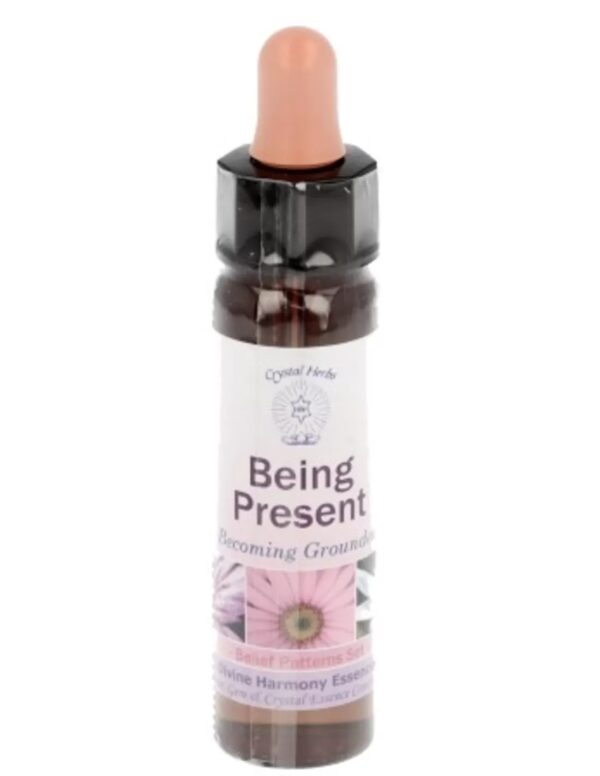 10 ml Being Present - uit Belief Patterns Essences