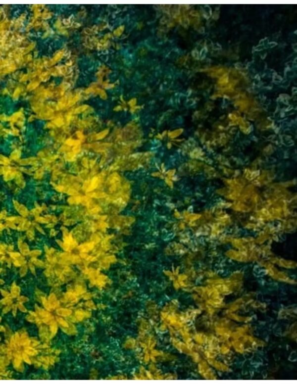 Wall art: Universum in de achtertuin - Image 3