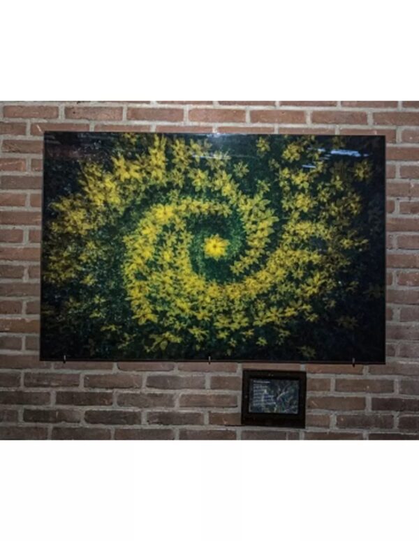 Wall art: Universum in de achtertuin - Image 4