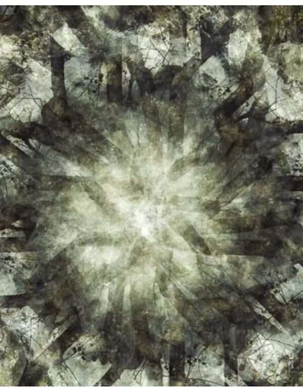 Wall art: Berken op de bedding - Image 2