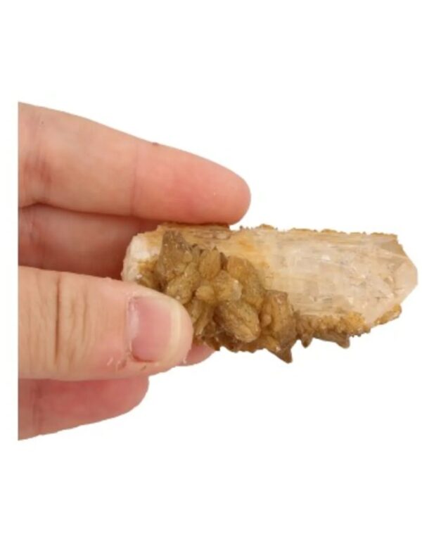 Danburiet met kristallisaties nr.4 - Image 3