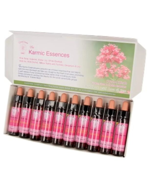 10 ml Despair - Yellow Rattle - uit Karmic Essences set - Image 2