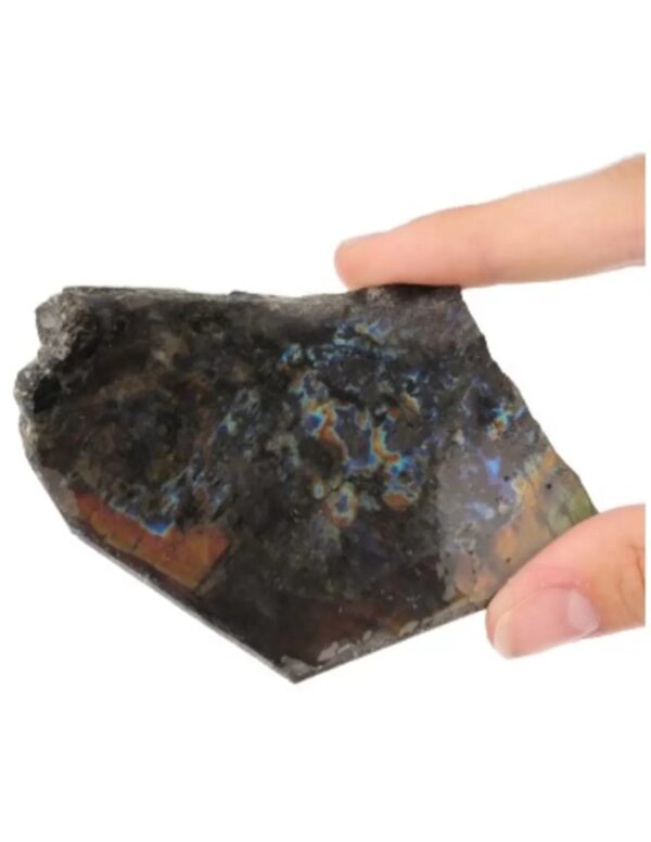 Spectroliet schijfje nr.7