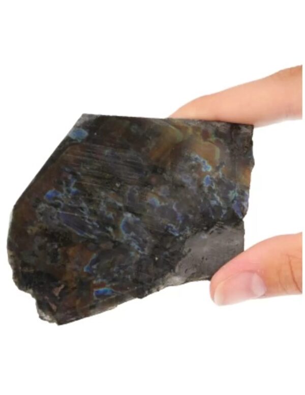 Spectroliet schijfje nr.7 - Image 2