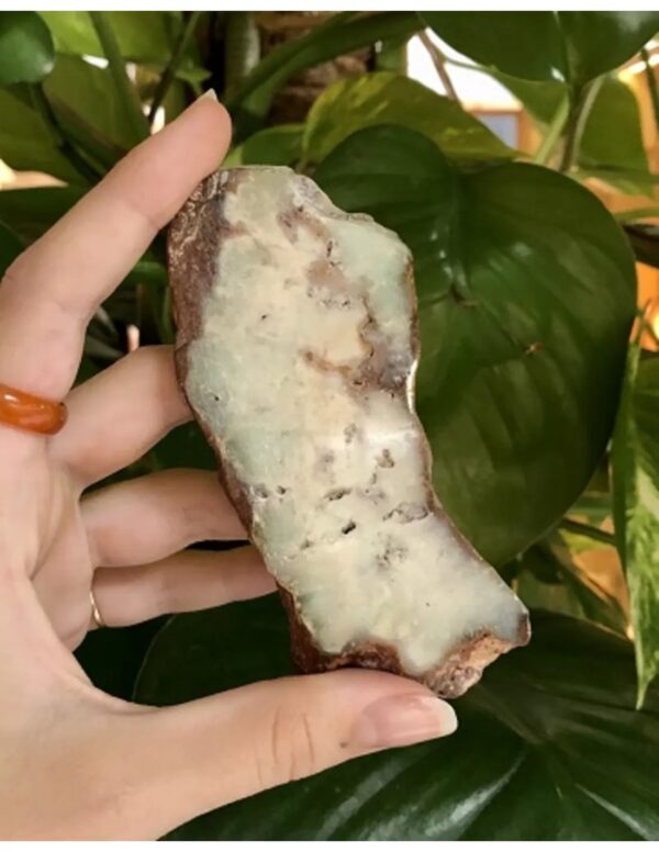 Chrysopraas schijf nr.5 - Image 2