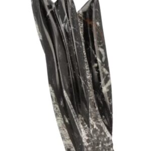 Orthoceras sculptuur nr.5