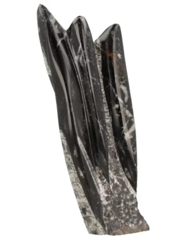 Orthoceras sculptuur nr.5