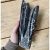 Orthoceras sculptuur nr.5 - Image 2
