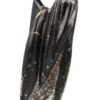 Orthoceras sculptuur nr.5 - Image 3
