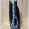Orthoceras sculptuur nr.5 - Image 4