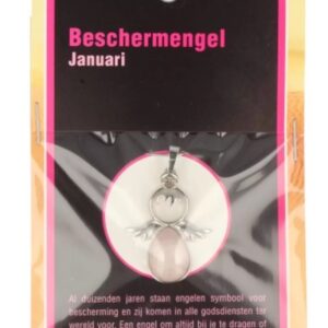 Beschermengel Januari op kaartje