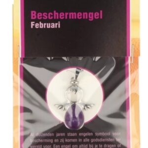 Beschermengel Februari op kaartje