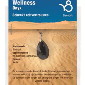 Sterrenbeeldhanger Steenbok (Onyx)