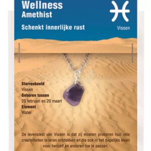 Sterrenbeeld hanger Vissen (Amethist)