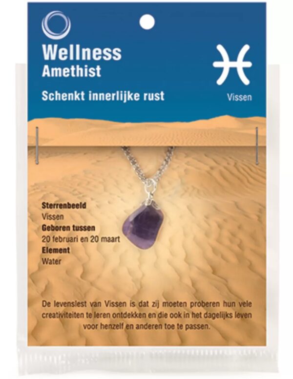Sterrenbeeld hanger Vissen (Amethist)