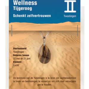 Sterrenbeeld hanger Tweelingen (Tijgeroog)
