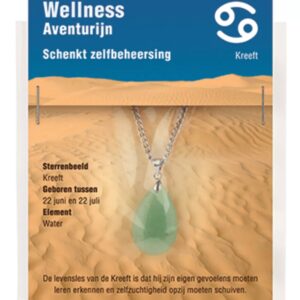 Sterrenbeeld hanger Kreeft (Aventurijn)