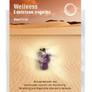 Engelen hanger + kaart Amethist