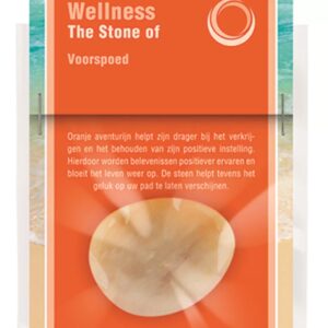 The stone of Voorspoed (Aventurijn oranje)