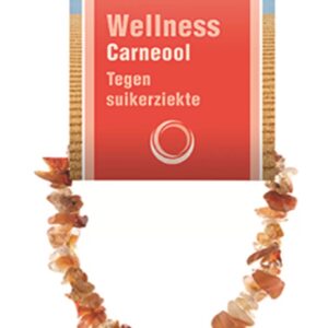 Carneool splitarmband + kaart