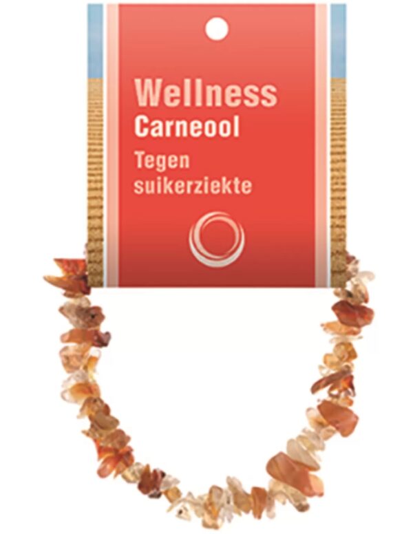 Carneool splitarmband + kaart