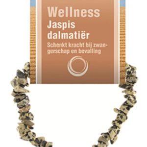 Jaspis dalmatiër splitarmband + kaart
