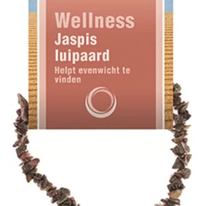 Jaspis luipaard splitarmband + kaart