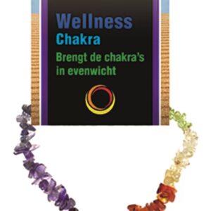 Chakra splitarmband + kaart