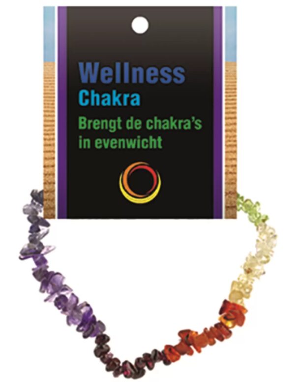 Chakra splitarmband + kaart
