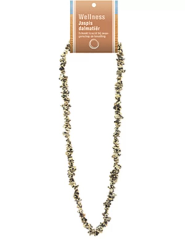 Jaspis dalmatiër splitketting + kaart