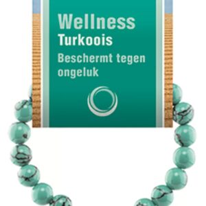 Howliet blauw Turkoois powerbead + kaart (gekleurd)