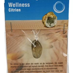 Citrien gezondheids hanger (verhit)