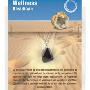 Obsidiaan zwart gezondheids hanger