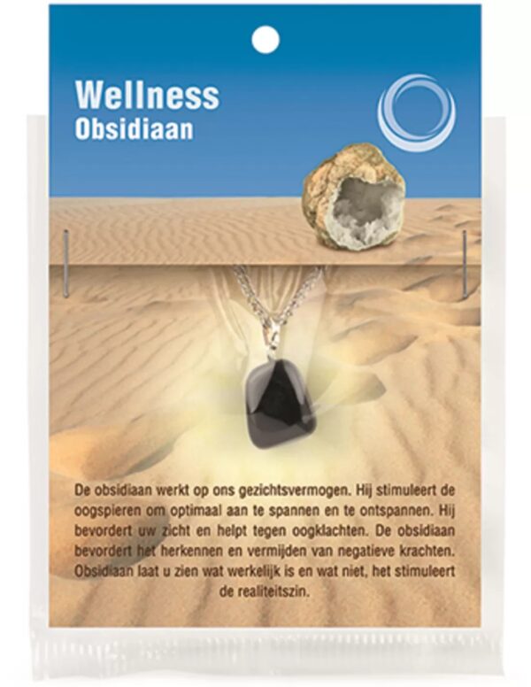Obsidiaan zwart gezondheids hanger