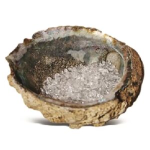 Abalone oplaadschelp
