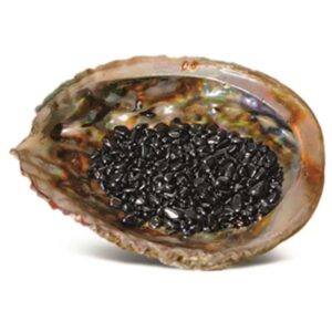 Abalone ontlaadschelp