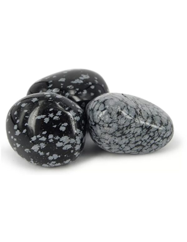 Obsidiaan sneeuwvlok trommelstenen (mt3)