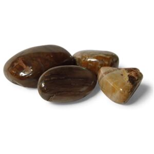 Versteend hout trommelstenen (mt3), p/kg