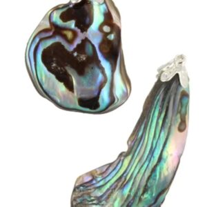 Abalone schelp edelsteen hanger
