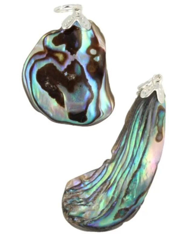 Abalone schelp edelsteen hanger