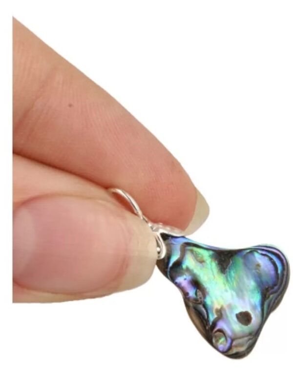 Abalone schelp edelsteen hanger - Image 5